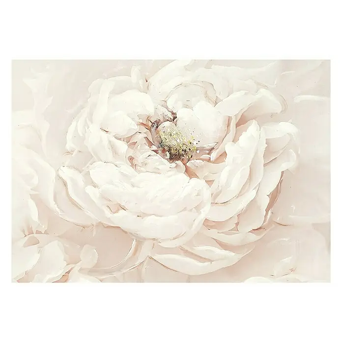 Lienzo Rosa - Rosa, An x Al: 50 x 70 cm - Primer plano de una elegante peonía blanca, que muestra sus delicados pétalos y sutiles texturas con luz suave.