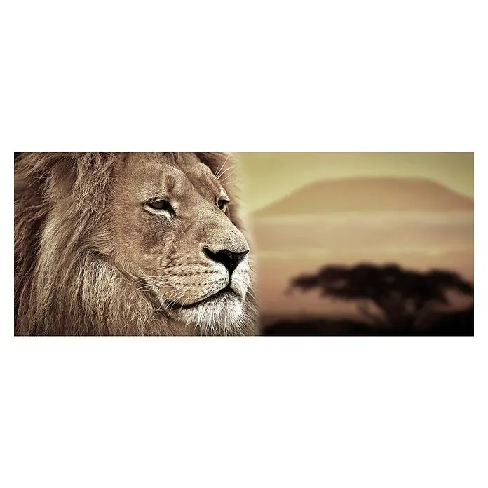 Cuadro León Sabana - León Sabana, An x Al: 150 x 60 cm, 1 pzs. - Primer plano de un león con pelaje dorado sobre un fondo africano, un retrato impactante.