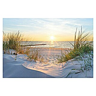 Cuadro Playa puesta de sol (Playa puesta de sol, An x Al: 120 x 80 cm, 1 pzs.)