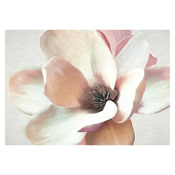 Lienzo Macroflor - Macroflor, An x Al: 100 x 70 cm - Pintura de una flor de magnolia rosa pálido, creada con suaves pinceladas y sutiles degradados, creando un ambiente elegante y tranquilo.