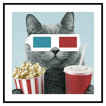 Cuadro Gato cine