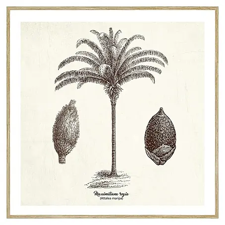 Cuadro Palmera 2