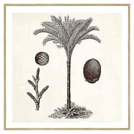 Cuadro Palmera 3