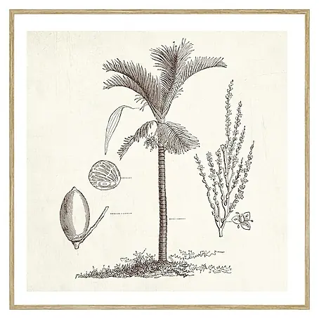 Cuadro Palmera 4