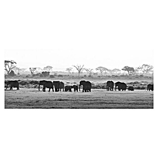 Cuadro Manada elefante B&N (Manada elefante B&N, An x Al: 150 x 60 cm, 1 pzs.)