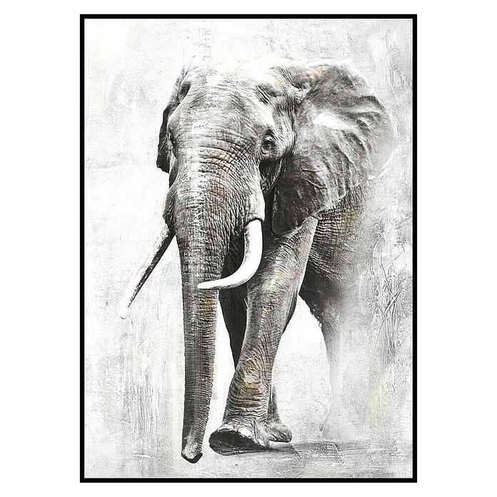 Lienzo Elefante (Elefante, An x Al: 50 x 70 cm) | BAUHAUS