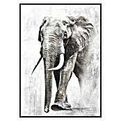 Lienzo Elefante (Elefante, An x Al: 50 x 70 cm) | BAUHAUS