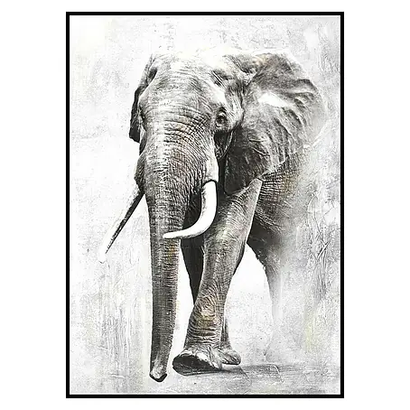 Lienzo Elefante