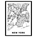 Cuadro Mapa NY 