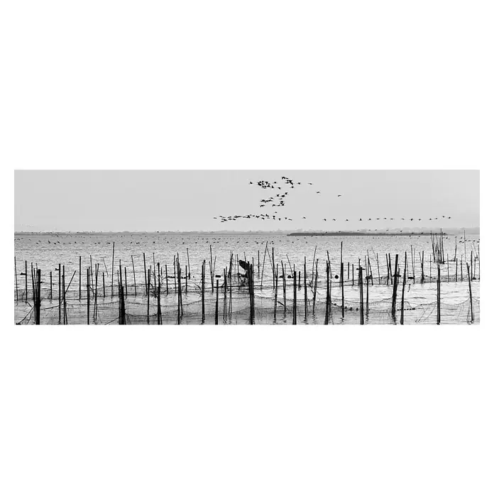 Cuadro La Albufera - La Albufera, An x Al: 120 x 40 cm, 1 pzs. - Paisaje junto al lago con redes de pesca y aves volando.