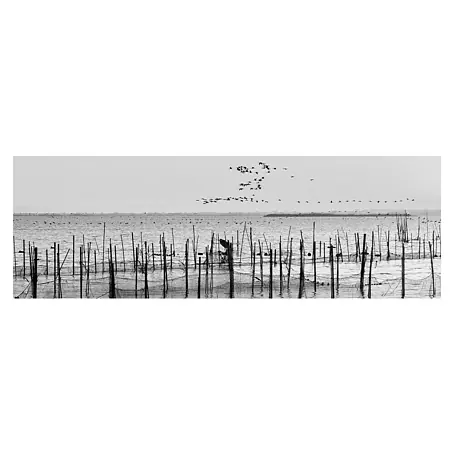 Cuadro La Albufera