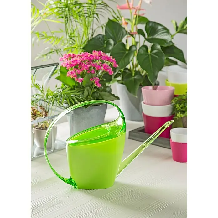Scheurich Gießkanne Loop - Light Green, 1,4 l - Nahaufnahme einer grünen Gießkanne vor Pflanzen und Töpfen.