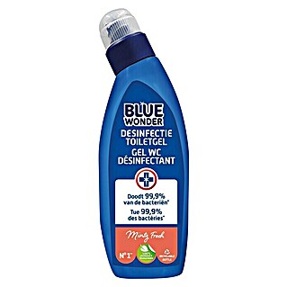 HG Blue Wonder Sanitairreiniger Minty Fresh (750 ml)