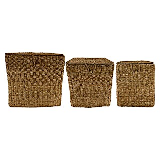 Korb Lid (1 Stk., L x B x H: 38 x 38 x 38 cm, Natur)