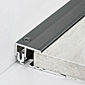 LOGOCLIC Abschlussprofil (Edelstahl matt, 2,7 m x 21 mm, Montageart: Schrauben)
