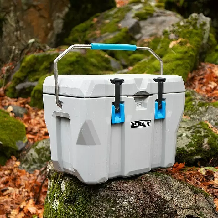 Lifetime Kühlbox Cooler - 26,5 l, Grau/Blau - Hellgraue Kühlbox mit blauen Verschlüssen und Griff, auf moosbewachsenem Felsen im Wald mit Herbstlaub.