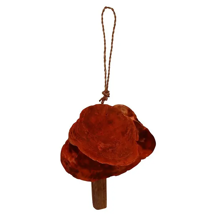 Deko-Anhänger Capiz - 18 x 12 cm, Orange - Rustikales Windspiel mit roten Muscheln und einer Juteschnur zum Aufhängen, ideal für Garten oder Balkon.