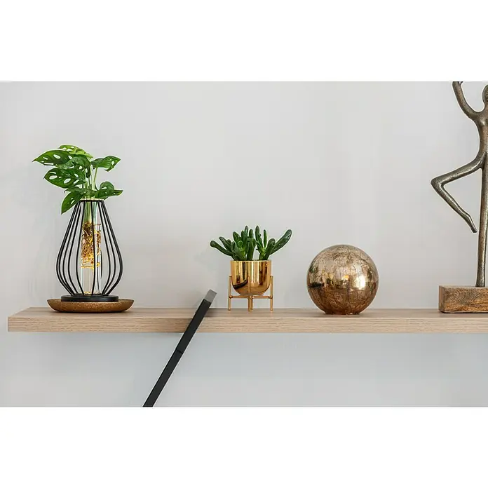 Dekoelement KugelDurchmesser: 10 cm, Glas, Braun - Pflanzen und dekorative Elemente auf einem hellen Holzregal, minimalistisches Design mit modernem Touch.