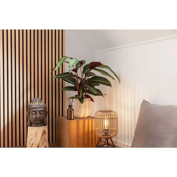 SCHÖNER WOHNEN-Farbe Wandfarbe Designfarbe - Leichtes Leinenbeige, Matt, 2,5 l, Konservierungsmittelfrei - Dekorative Zimmergestaltung mit Buddha-Kopf, Pflanze, Duftstäbchen und einer stilvollen Bambuslampe.