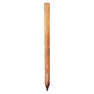 T & J Pfosten (8 x 8 x 150 cm, Passend für: Jäger- und Staketenzaun, Braun)