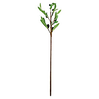 Dekozweige Schwarze Olive (Höhe: 77 cm, Grün/Braun, Kunststoff)