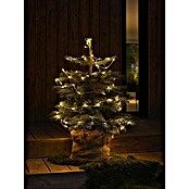 Konstsmide LED-Lichterkette (Farblos, Außen, Lichtfarbe: Bernstein, Anzahl Leuchtmittel: 80 Stk., Batteriebetrieben) | BAUHAUS