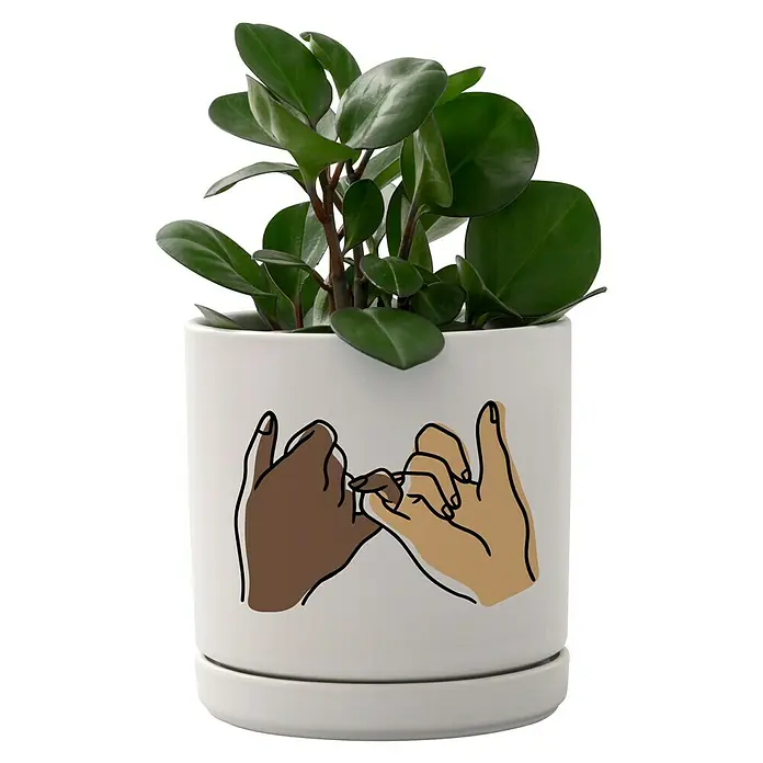 Cricut Vinylfolie Musterset Permanent - 10 Stk., Hautfarben, 30,5 x 30,5 cm - Zimmerpflanze in weißem Topf mit Pinky-Promise-Design. Die Pflanze hat runde, grüne Blätter und ist ein dekoratives Element für jeden Raum.