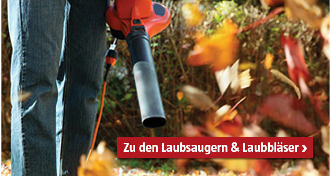Laubblaeser