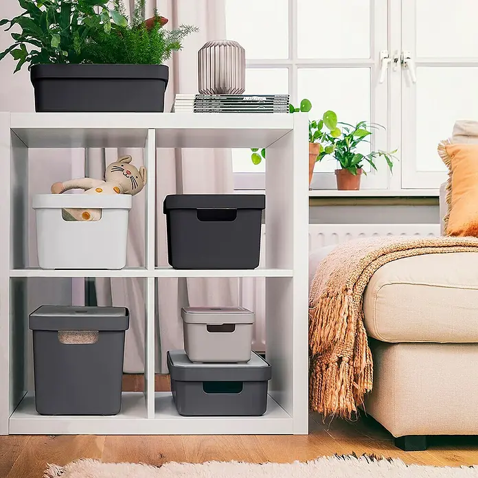 Sunware Aufbewahrungsbox Sigma Home - L x B x H: 35 x 24,6 x 12,2 cm, Kunststoff, Anthrazit - Weißes Regal mit verschiedenen Aufbewahrungsboxen in unterschiedlichen Farben und Größen für eine organisierte Aufbewahrung.