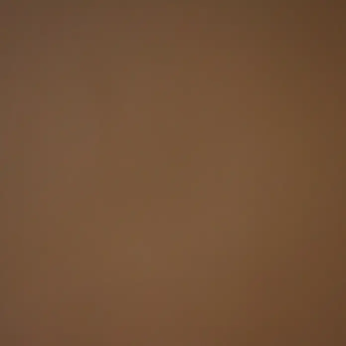 Glorex Fotokarton - Schokobraun, 70 x 50 cm - Brauner Hintergrund. Ein schlichter, einfarbiger Hintergrund in einem warmen Braunton, der sich ideal für verschiedene Designprojekte eignet.