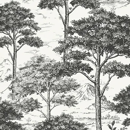 Papel pintado Arboles B&N