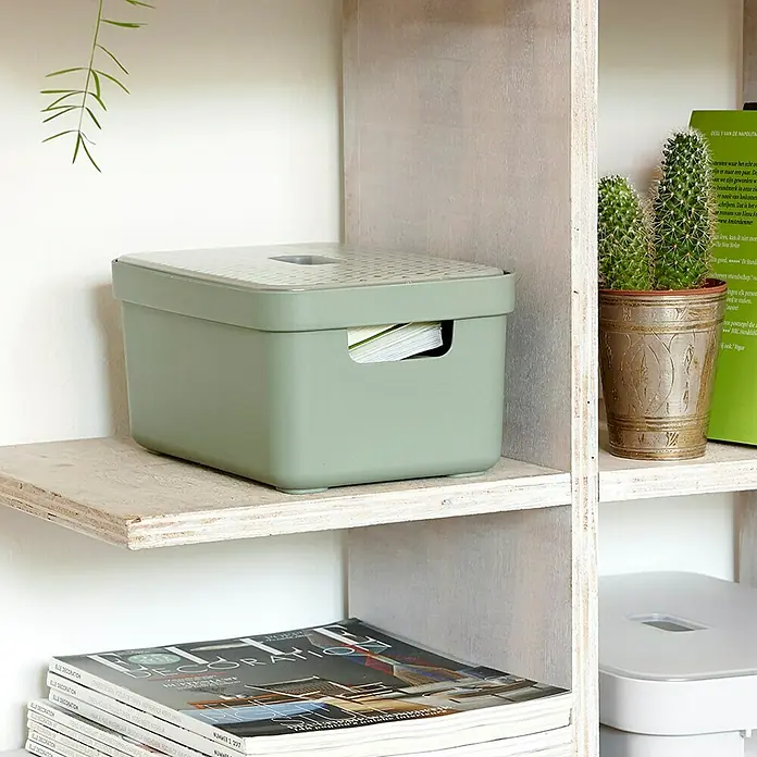 Sunware Aufbewahrungsbox Sigma Home - L x B x H: 25,2 x 17,5 x 12,2 cm, Kunststoff, Hellgrün - Nahaufnahme einer mintgrünen Aufbewahrungsbox mit Deckel auf einem Regal.