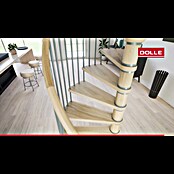 Dolle Wenteltrap Winnipeg (Diameter: 140 cm, Basalt grijs, Kleur treden: Eiken netuur, Verdiepingshoogte: 246 cm - 270 cm) | BAUHAUS