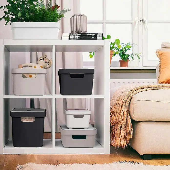 Sunware Aufbewahrungsbox Sigma Home - L x B x H: 35 x 24,6 x 24,3 cm, Kunststoff, Schwarz - Aufbewahrungsboxen in verschiedenen Farben auf einem weißen Regal, die vielseitige Ordnungslösungen bieten.