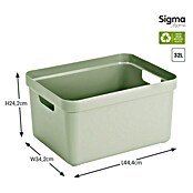 Sunware Opbergbox (l x b x h: 45,3 x 35,4 x 24,3 cm, Kunststof, Lichtgroen)