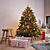 Sunware Aufbewahrungsbox Q-Line für Weihnachtskugeln (Passend für: 98 Christbaumkugeln (80 x Ø 45 - 60 mm & 18 x Ø 70 - 80 mm), L x B x H: 40 x 60 x 26 cm, Kunststoff, Transparent) | BAUHAUS