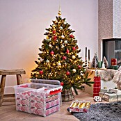 Sunware Aufbewahrungsbox Q-Line für Weihnachtskugeln (L x B x H: 60 x 40 x 30 cm, Geeignet für: Christbaumschmuck, Kunststoff, Transparent)