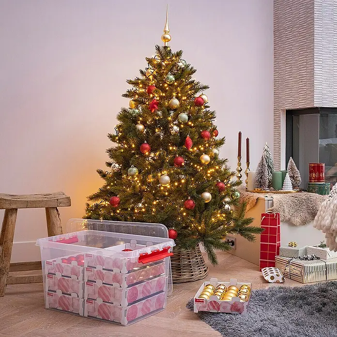 Sunware Aufbewahrungsbox Q-Line für Weihnachtskugeln - Passend für: 116 Christbaumkugeln (80 x Ø 45 - 60 mm & 36 x Ø 70 - 80 mm), L x B x H: 60 x 40 x 34 cm, Kunststoff, Transparent - Aufbewahrungsbox für Weihnachtsbaumschmuck, durchsichtig mit rotem Verschluss vor festlich geschmücktem Baum. Praktisch für die Lagerung.
