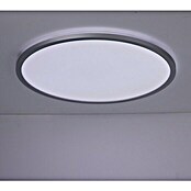 Brilliant LED-Deckenleuchte rund Tanida (46 W, Ø x H: 57 x 3,2 cm, Silber, RGBW) | BAUHAUS