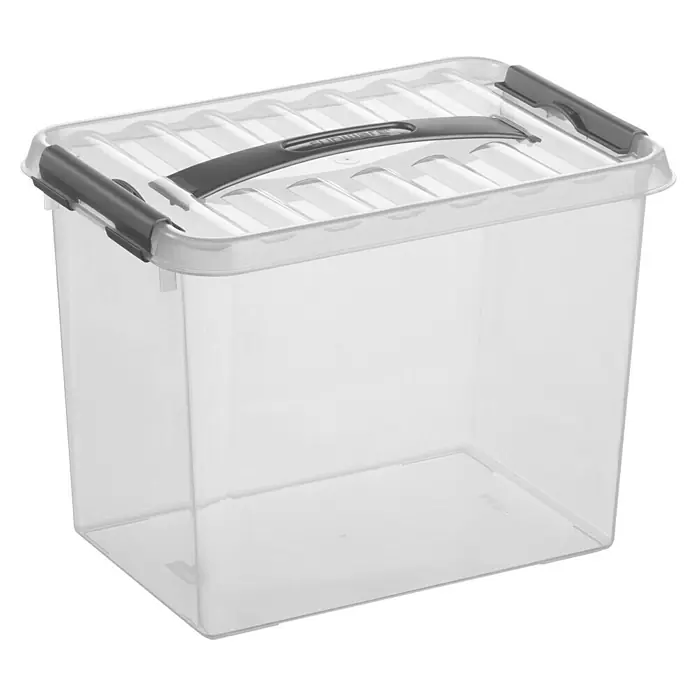Sunware Aufbewahrungsbox Q-Line - L x B x H: 30 x 20 x 22,3 cm, Kunststoff, Transparent, Farbe Griff: Schwarz - Durchsichtige Aufbewahrungsbox aus Kunststoff mit Deckel und Griffen zur einfachen Lagerung und Organisation von Gegenständen.