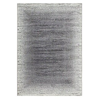 Kayoom Kurzflorteppich Stanley (Silber, 230 x 160 cm, 100% Polypropylen-Heatset-Frisee)