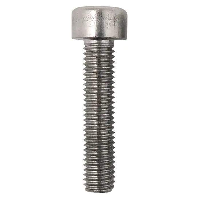 Micel Juego de tornillos TLD27 - Específico para: Enrollador de toldos TLD05, 3 ud. - Primer plano de un tornillo de acero inoxidable con roscado preciso y una cabeza redondeada, ideal para diversas aplicaciones de fijación.