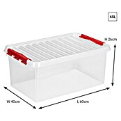 Sunware Aufbewahrungsbox Q-Line (L x B x H: 60 x 40 x 26 cm, Kunststoff, Transparent, Farbe Griff: Rot)