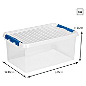 Sunware Aufbewahrungsbox Q-Line (L x B x H: 60 x 40 x 26 cm, Kunststoff, Transparent, Farbe Griff: Blau)