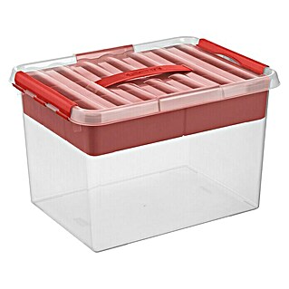 Sunware Aufbewahrungsbox Q-Line (L x B x H: 40 x 30 x 26 cm, Kunststoff, Transparent/Rot)