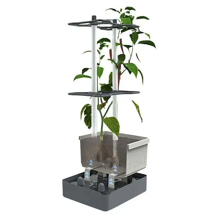 Gusta Garden Pflanzgefäß Charly Chili - 68,7 x 103,5 x 27,5 cm, Blau, 3 -tlg. - Hydrokultur-Chili-Pflanze in einem modularen Anbausystem. Das System ist grau und weiß und hat einen Wasserbehälter im unteren Bereich.