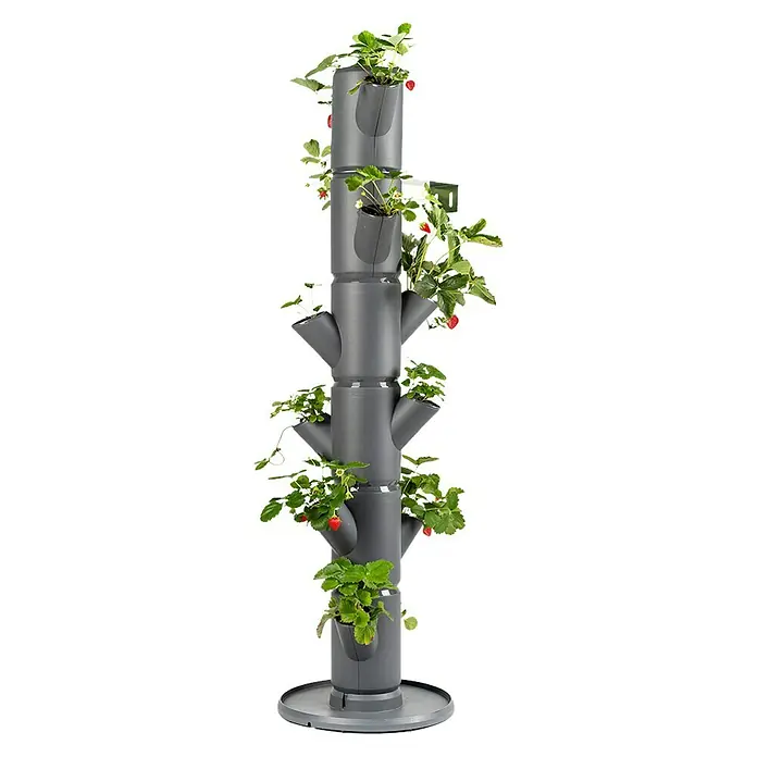 Gusta Garden Pflanzturm Sissi Strawberry Classic - 270 x 270 x 1.130 mm, Anthrazit - Vertikaler Pflanzturm mit Erdbeeren, ideal für den Anbau auf kleinem Raum. Stilvolles Design für Balkon, Terrasse oder Garten.