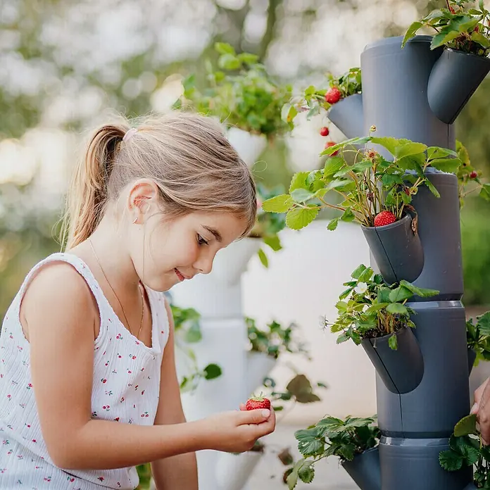 Gusta Garden Pflanzturm Sissi Strawberry Starter - 270 x 270 x 770 mm, Anthrazit - Mädchen betrachtet Erdbeere vor dem Hintergrund von vertikalen Pflanzgefäßen mit Erdbeerpflanzen.
