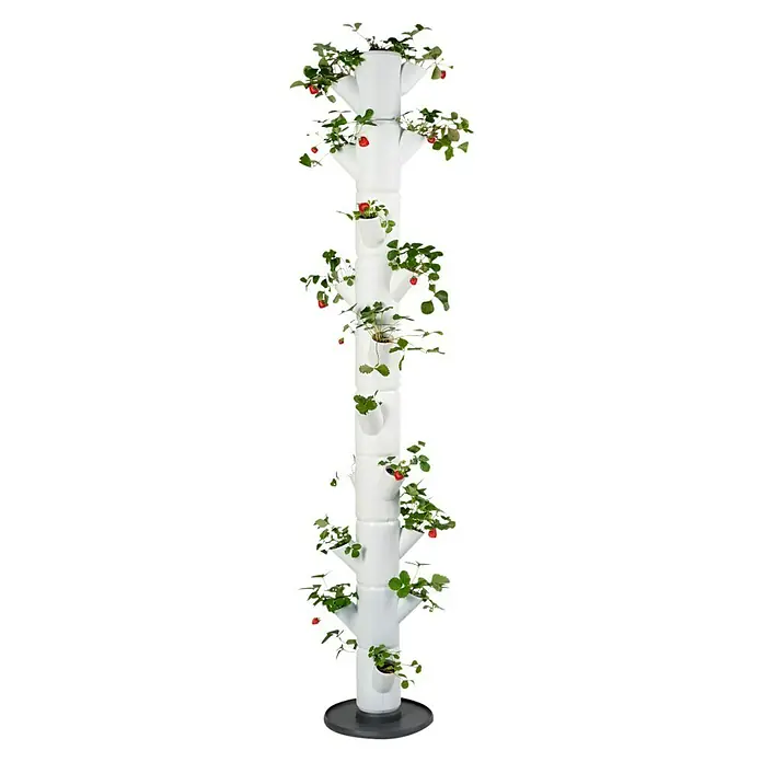 Gusta Garden Pflanzturm Sissi Strawberry infinity - 270 x 270 x 1.850 mm, Weiß - Vertikaler Erdbeerturm mit mehreren Ebenen und reifen Erdbeeren. Ideal für den Anbau auf kleinem Raum, platzsparend.