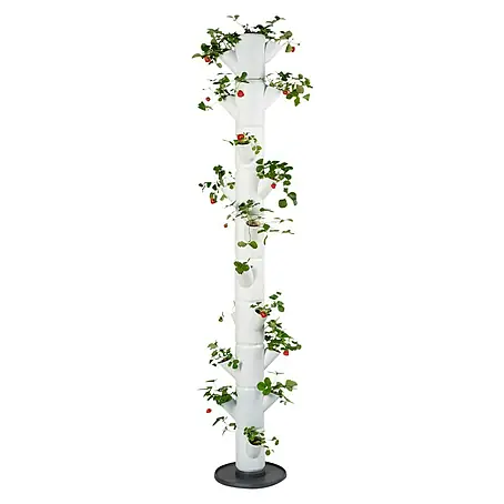 Gusta Garden  Pflanzturm Sissi Strawberry infinity